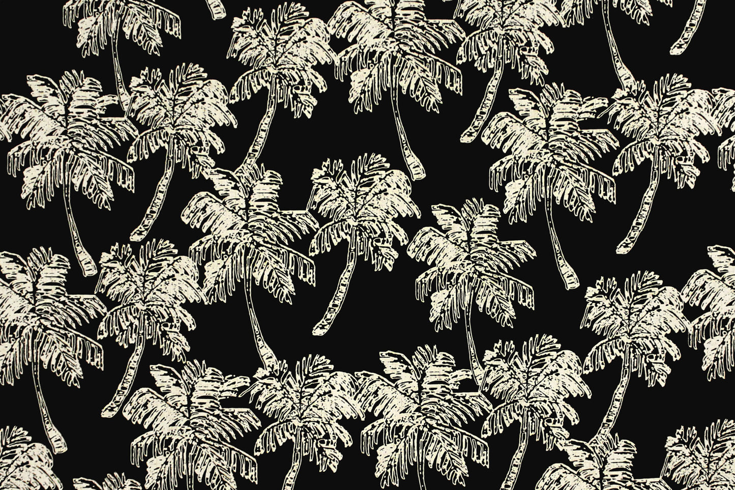 CAA1459 Black