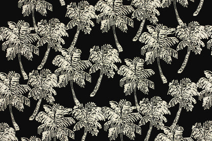 CAA1459 Black