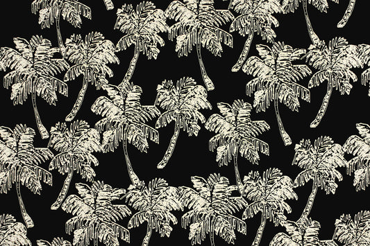 CAA1459 Black
