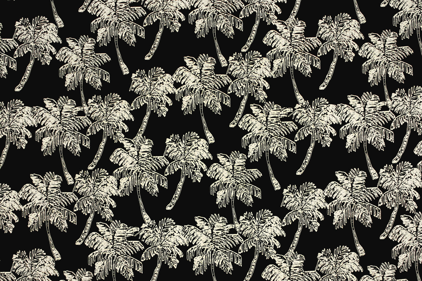 CAA1459 Black