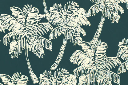 CAA1459 Teal