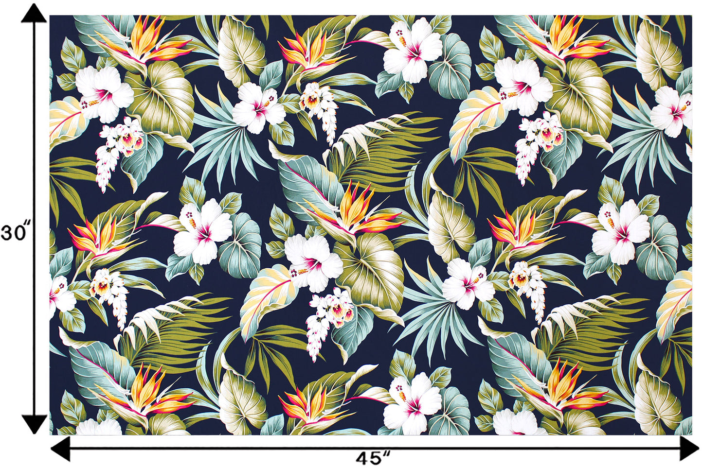 CAA1462 Navy