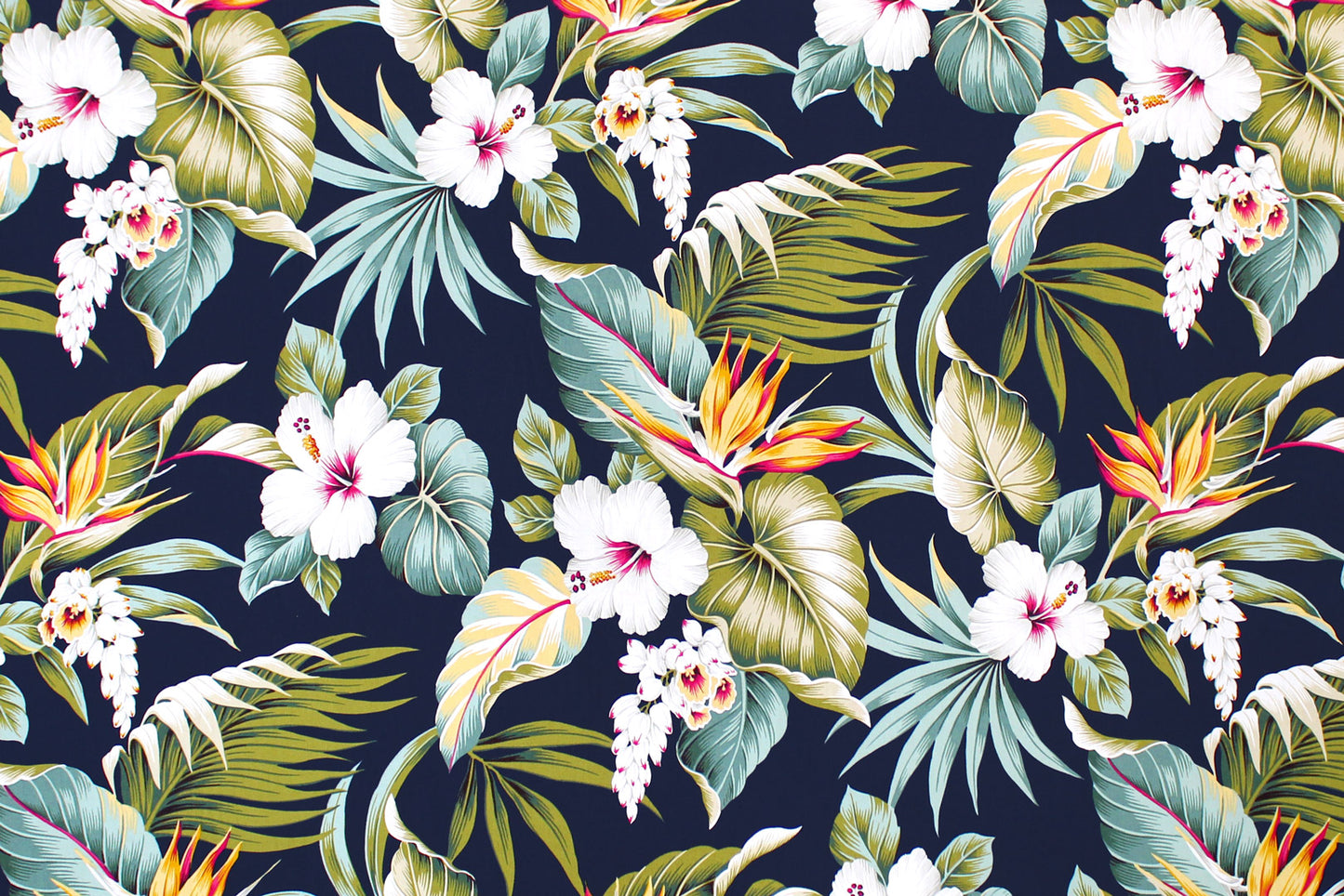 CAA1462 Navy