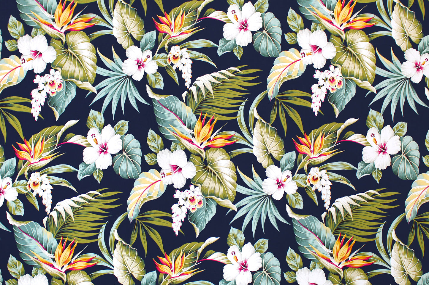 CAA1462 Navy