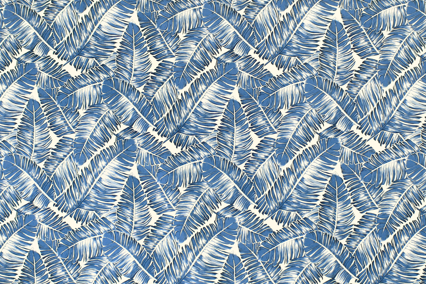 CAA1463 Blue