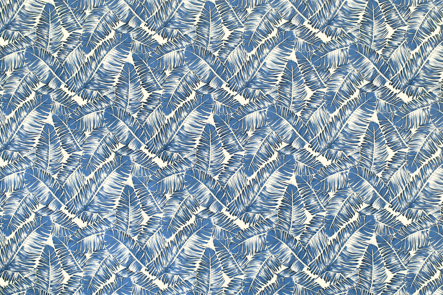 CAA1463 Blue
