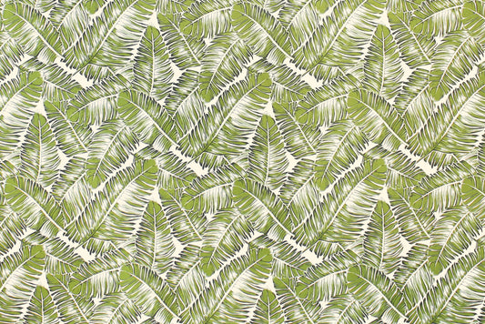 CAA1463 Green