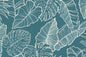 CAA1465 Blue