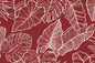 CAA1465 Red