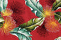 CAA1467 Red