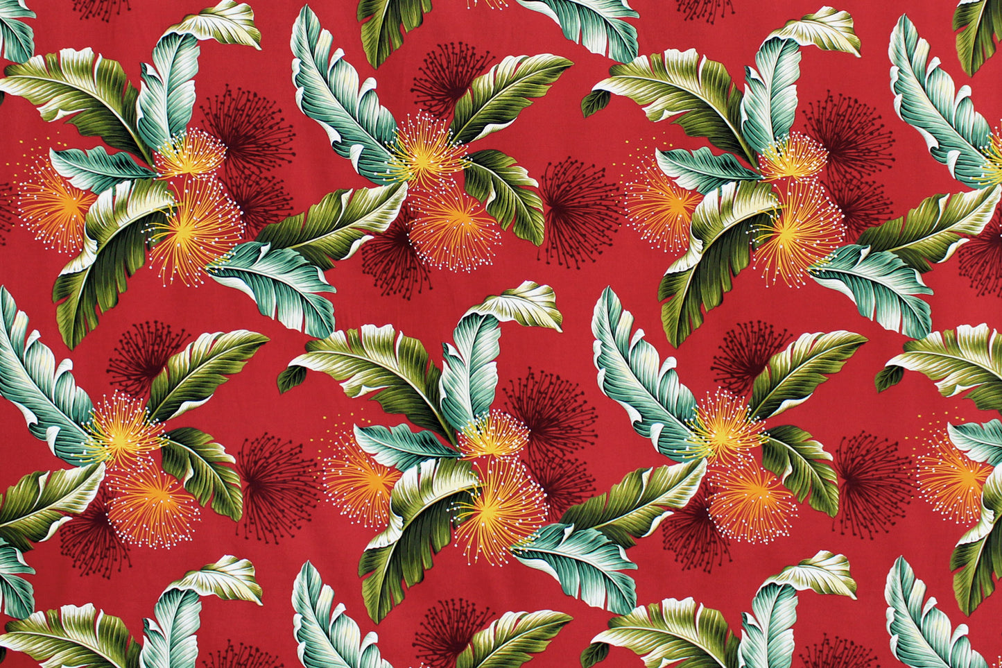 CAA1467 Red
