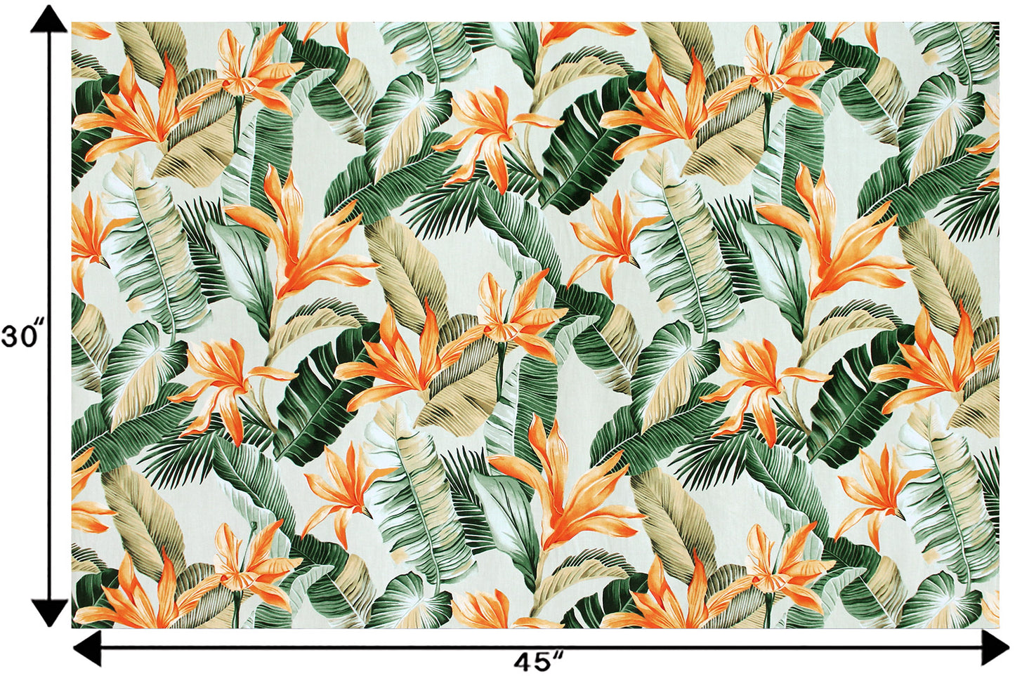CAA1468 Sage