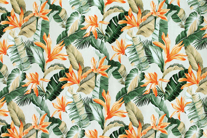 CAA1468 Sage