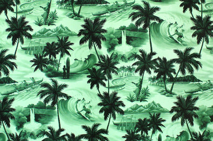 CAA1469 Forest