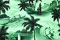 CAA1469 Forest