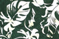 CAA1471 Forest
