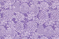 CAA1474 Lavender