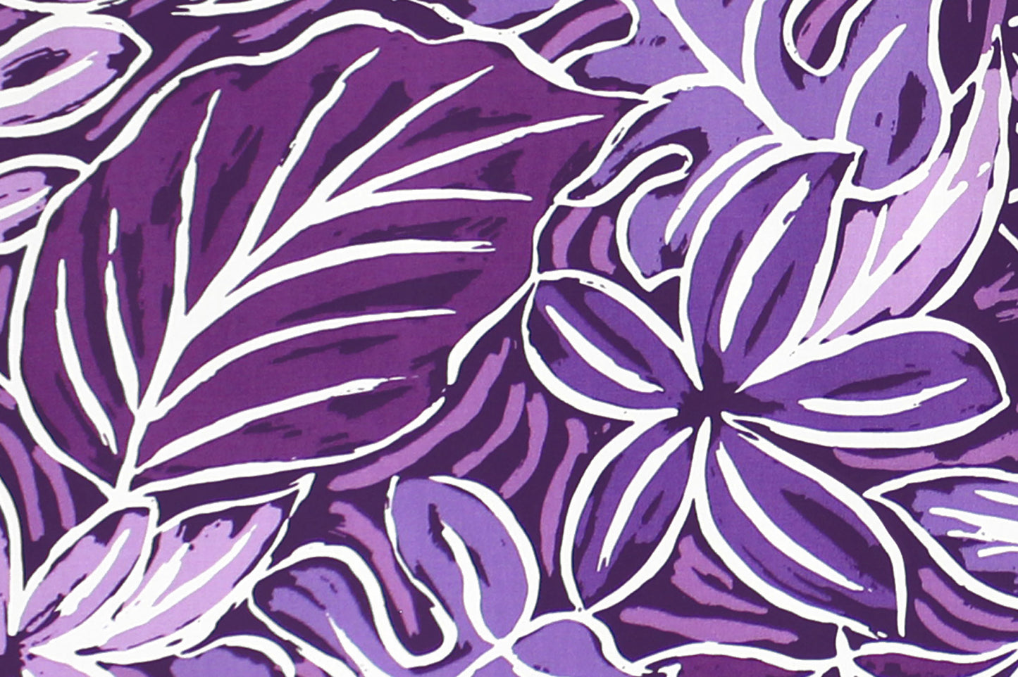 CAA1476 Purple