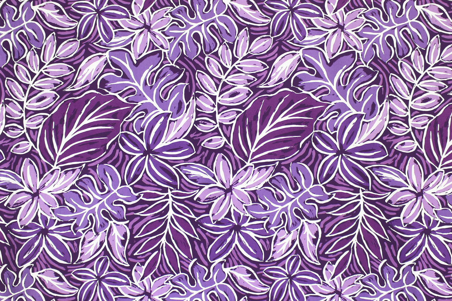 CAA1476 Purple