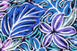 CAA1476 Navy