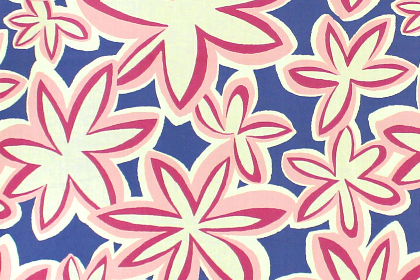 PAA1304 Blue/Pink