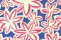PAA1304 Blue/Pink