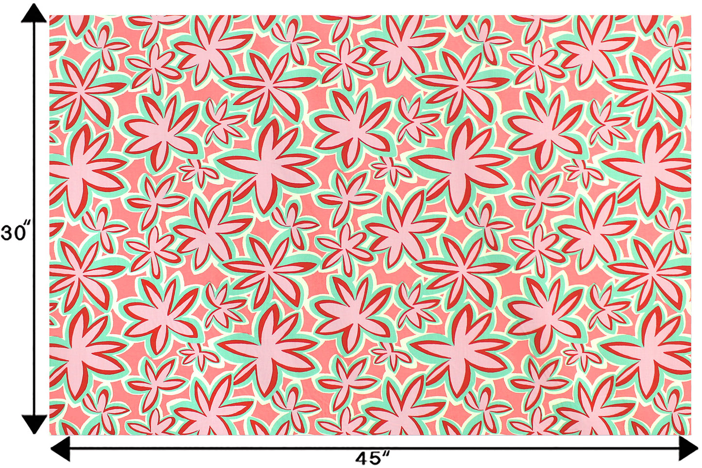 PAA1304 Coral