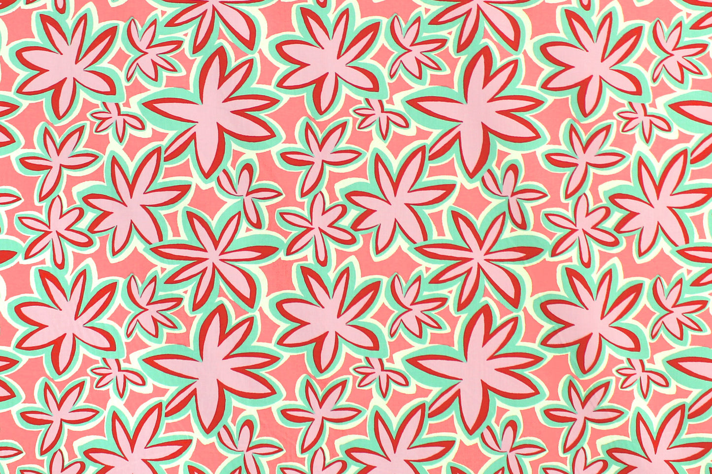 PAA1304 Coral