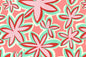 PAA1304 Coral