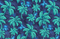 CAA1481 Blue