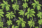 CAA1481 Green