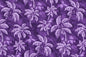 CAA1481 Purple