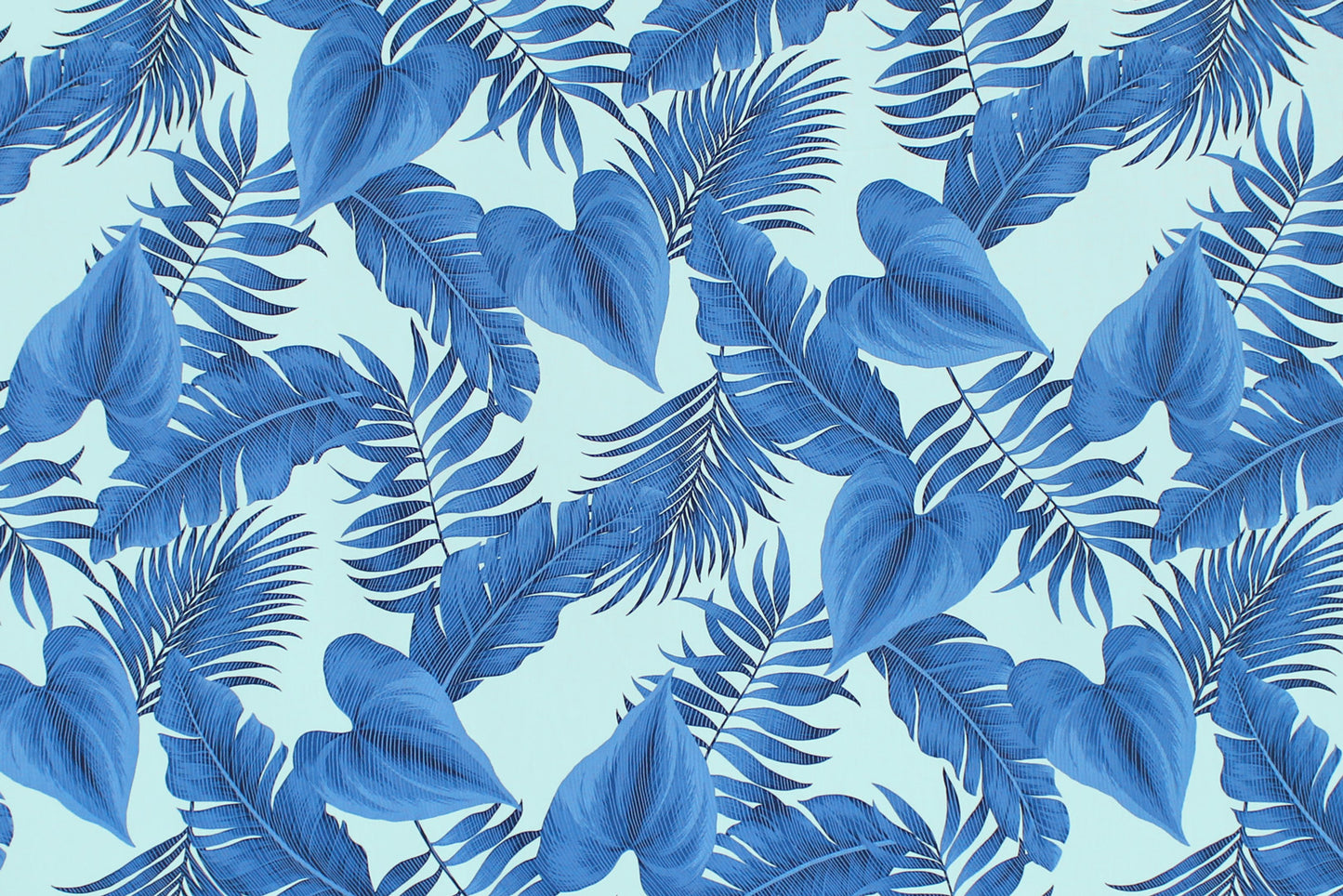 CAA1484 Blue