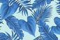 CAA1484 Blue
