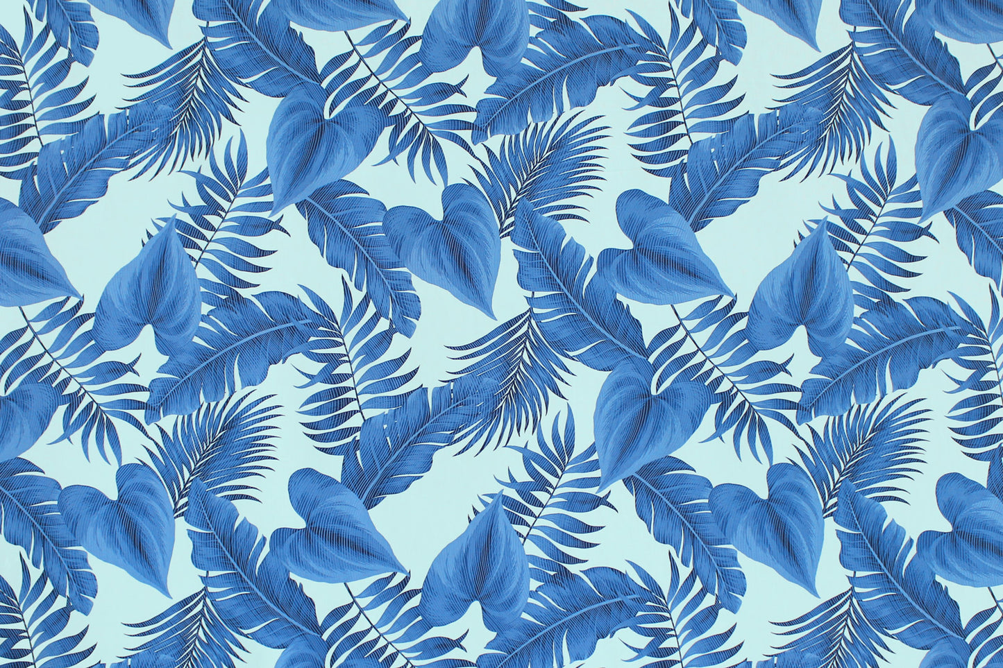 CAA1484 Blue