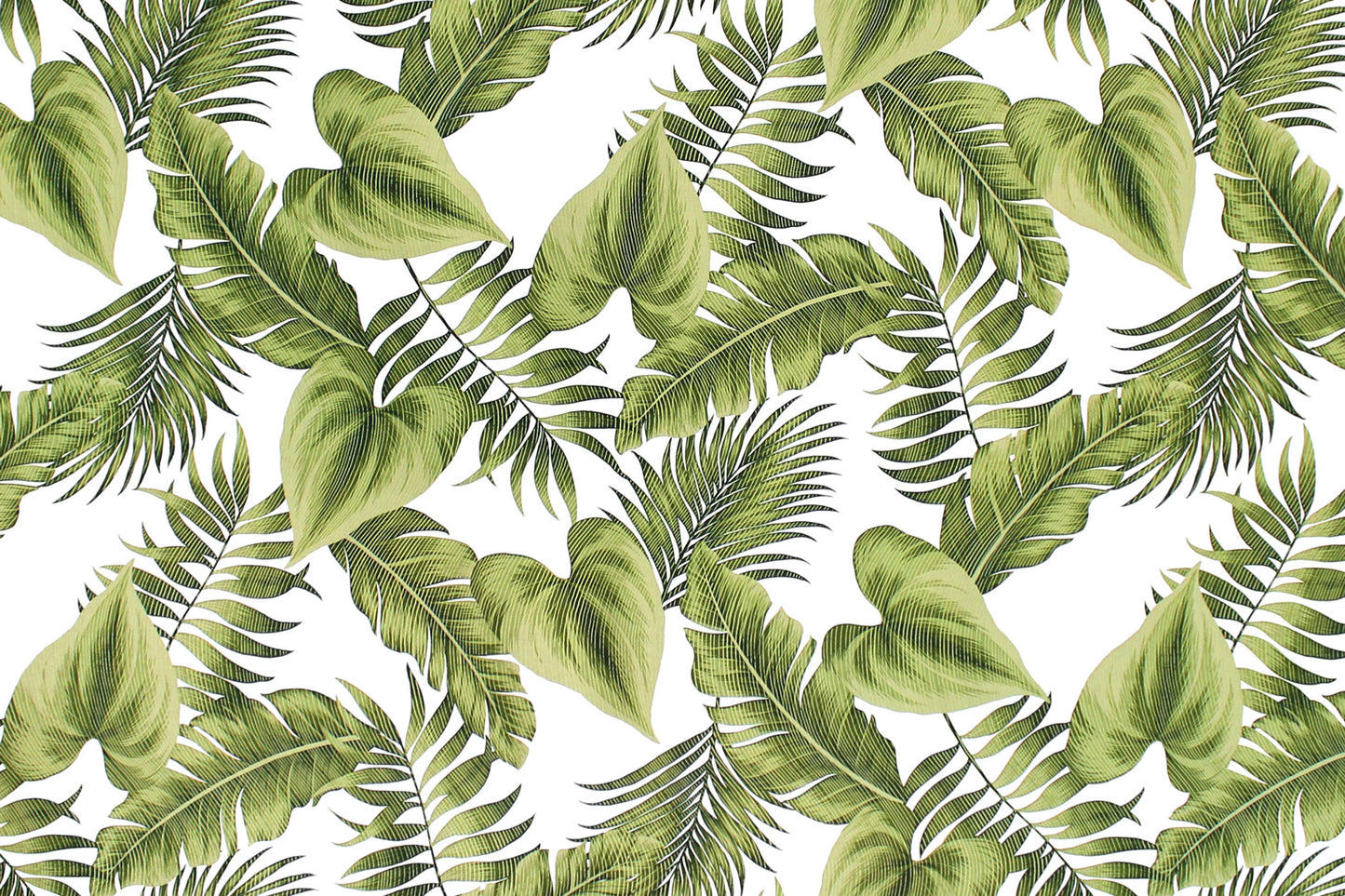 CAA1484 Green