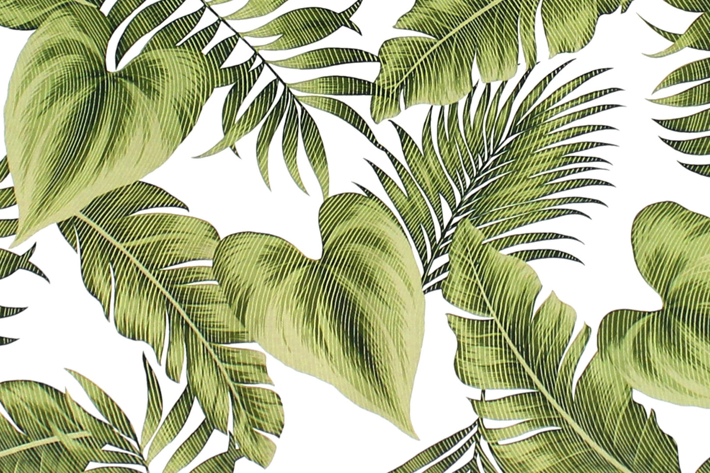 CAA1484 Green