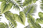 CAA1484 Green
