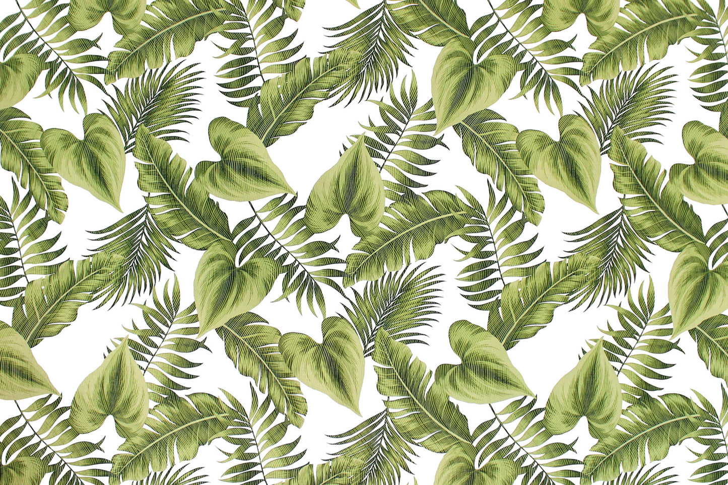 CAA1484 Green