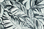 CAA1488 Charcoal