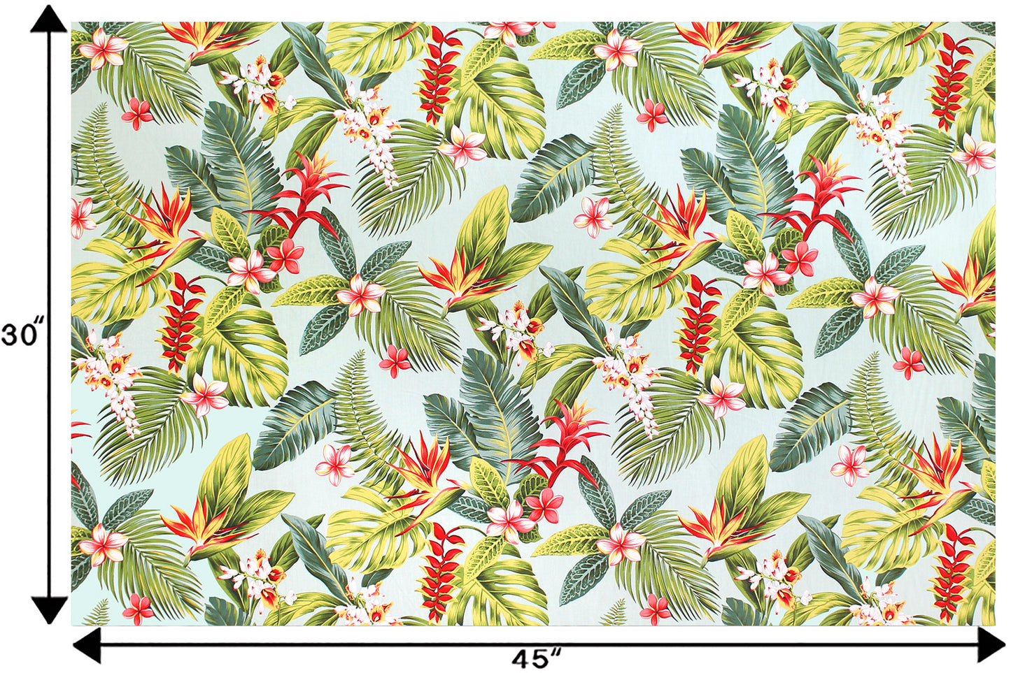 CAA1489 Aqua