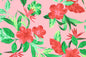 CAA1490 Pink