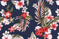 CAA1492 Navy