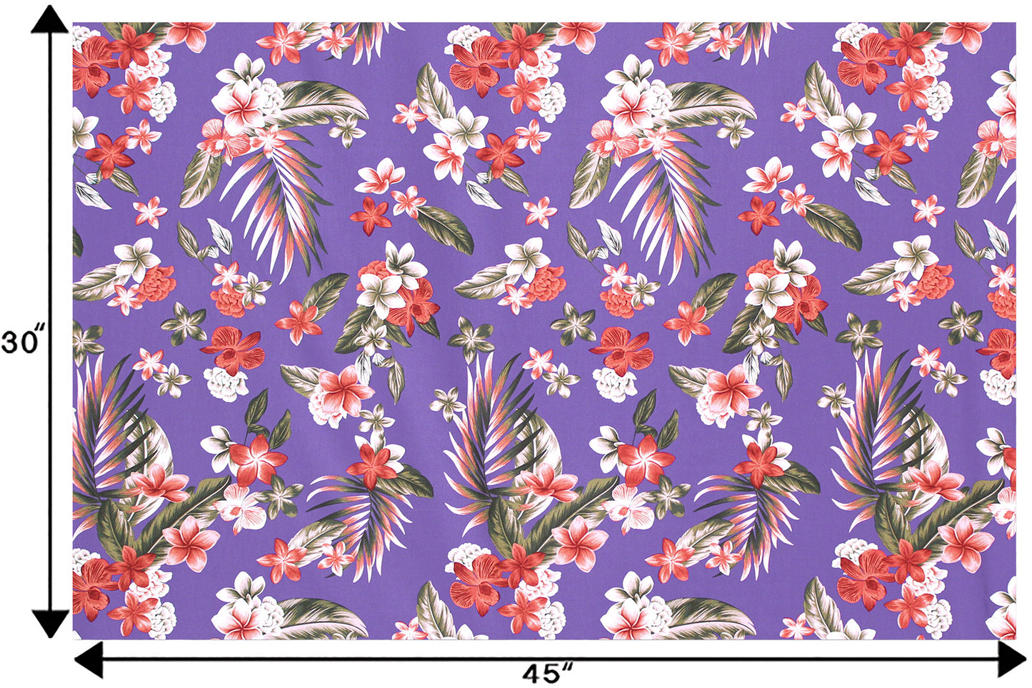 CAA1492 Purple