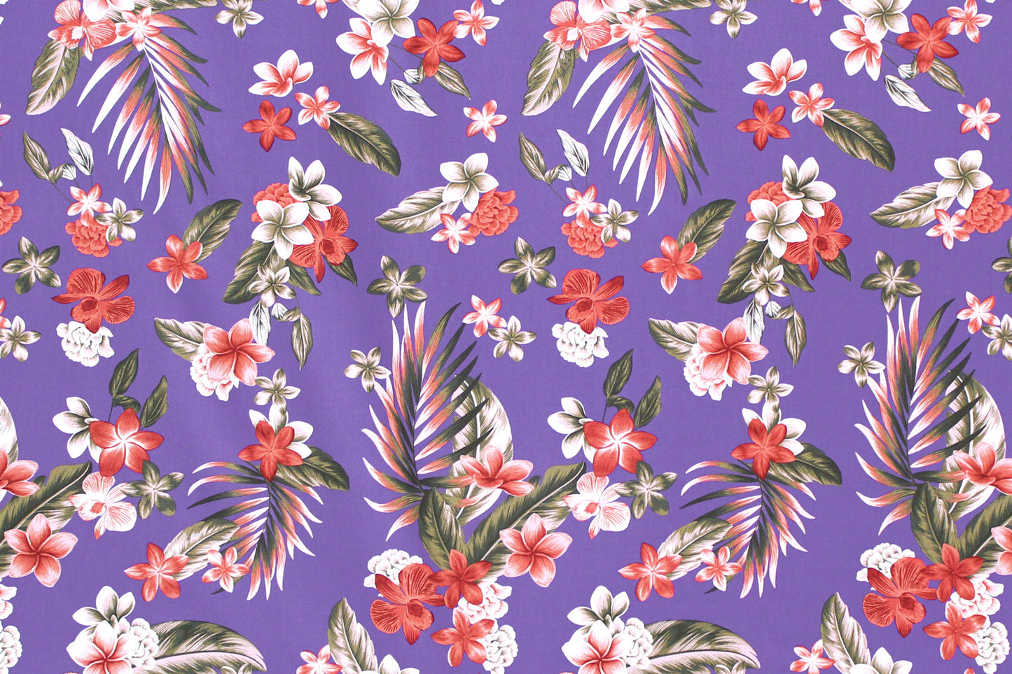 CAA1492 Purple