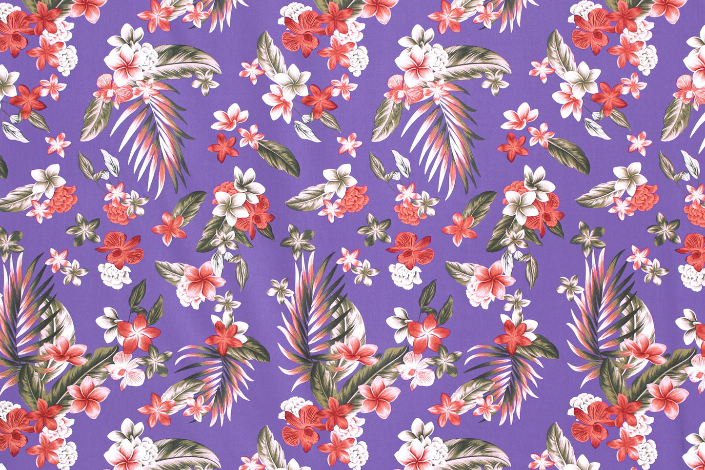 CAA1492 Purple