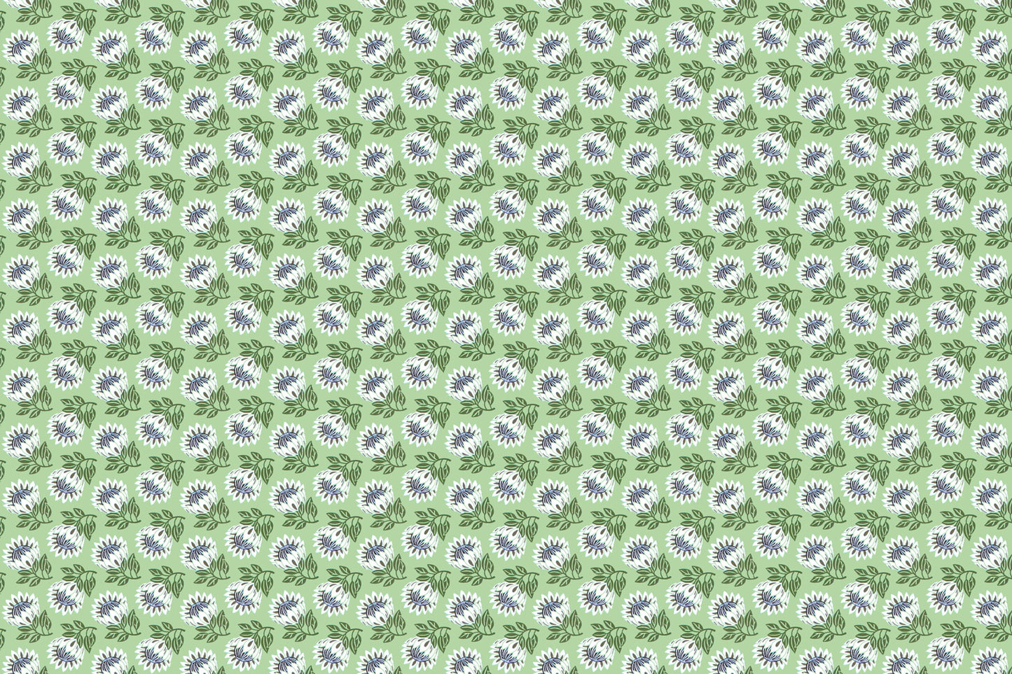 CAA1493 Avocado