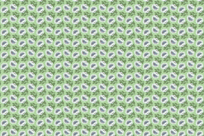 CAA1493 Avocado