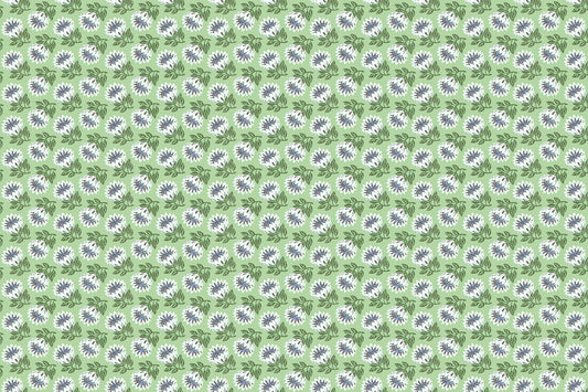 CAA1493 Avocado