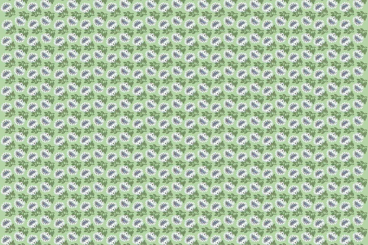 CAA1493 Avocado